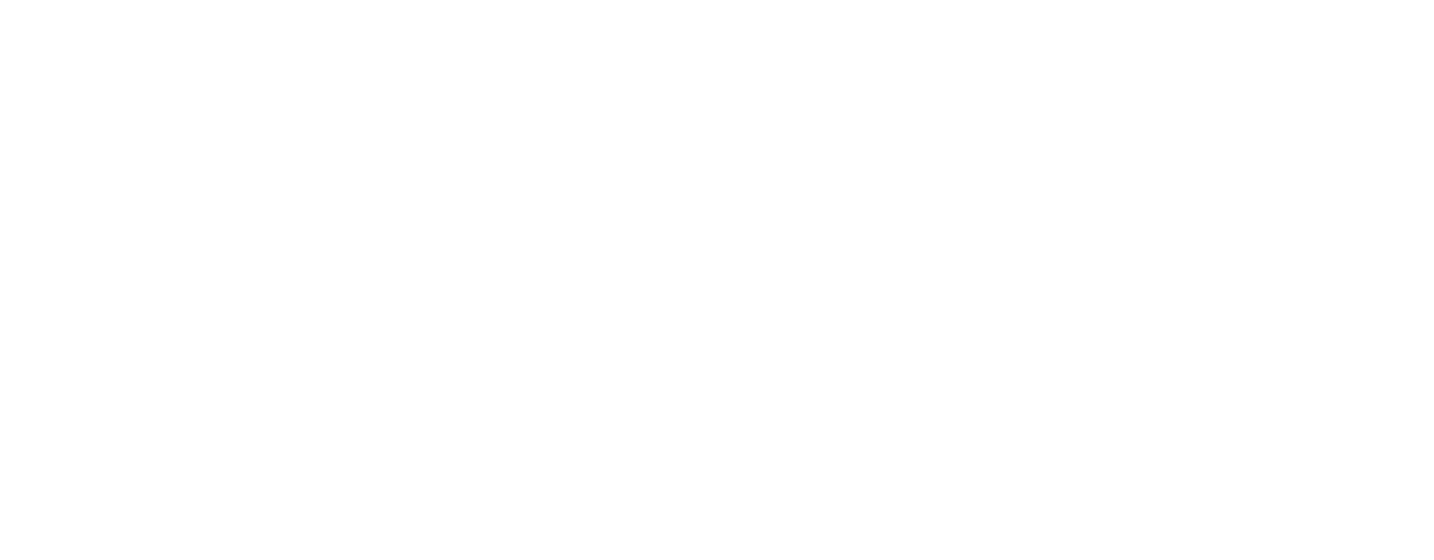Amesto Nextbridge logo